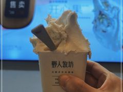 -野人先生现做冰淇淋(北京环宇荟店)