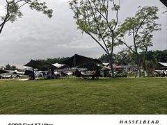 -生宇山珍野生菌汤锅•始于2002(双流古塔店)