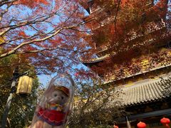 -常熟方塔园