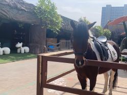 -宝燕乐园(闵行旗舰店)