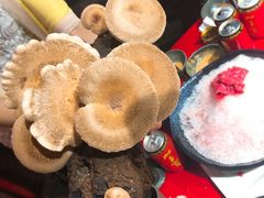 -谭鸭血老火锅(漳州路店)