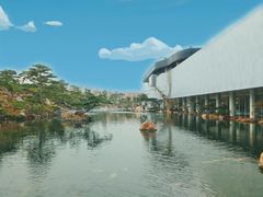 -罗红摄影艺术馆