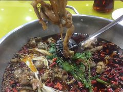 -渔香岛美蛙鱼头火锅(威清路店)