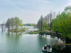 -长广溪湿地公园