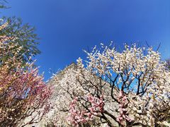 -北京明城墙遗址公园