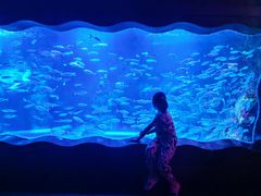 -太平洋海底世界