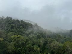 -野象谷景区