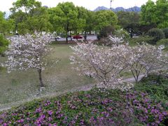 -台州府城(东湖)