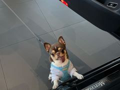 -贝康宠物医院·犬猫全科·小动物特色诊疗中心(东环路店)