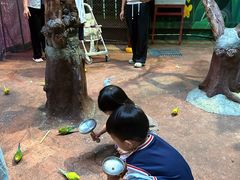 -正佳雨林生态植物园