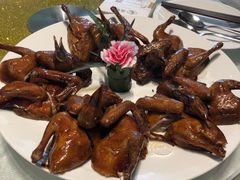 光明乳鸽-光明招待所(邦凯科技园店)