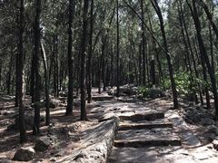 -云龙湖旅游景区