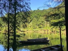 -深圳仙湖植物园