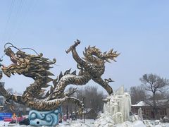 -雾凇岛