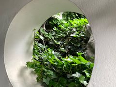 -何园