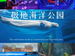 -海合安成都极地海洋公园