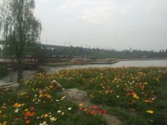 -秀丽东方