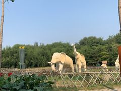 -廊坊市自然公园