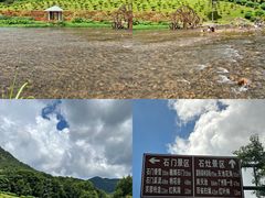 -广州市石门国家森林公园