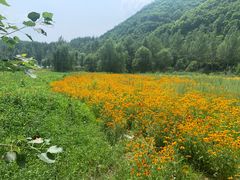 -兰河峪第117加油站