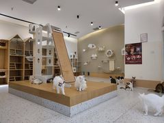 -猫域·湾主题猫咖·宠物吧(南坪城市广场店)