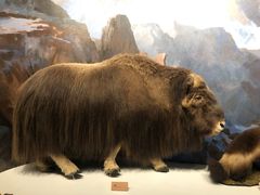 -陕西自然博物馆