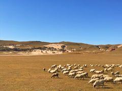 -塞罕坝国家级自然保护区