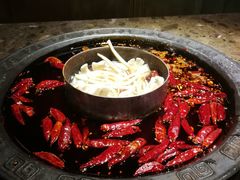 南北鸳鸯锅-重庆渝达老火锅(春熙路店)