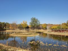 -永定河休闲森林公园