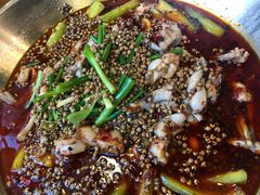 麻辣牛蛙-麻辣渔夫(赵辛店)