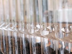 -喜茶(广州汉溪长隆店)