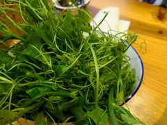 -老凯俚酸汤鱼(鸿通城店)