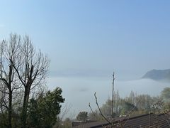 -千岛湖天屿景区