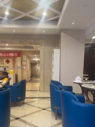 -碧莲盛·不剃发植发