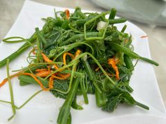 -春满园生态餐厅(南宫路店)