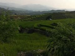 -牙胡梯田