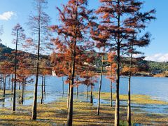 -名花谷生态庄园