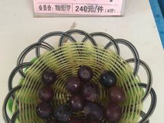 -向葡萄庄园