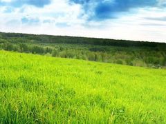 -塞罕坝国家级自然保护区