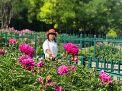 -达活泉公园