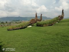 -光明小镇欢乐田园