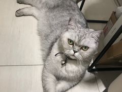 -Oasis绿洲银饰珍珠手作diy(壹方城店)