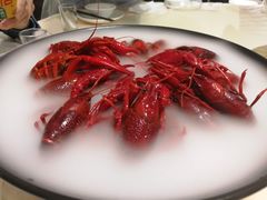 冰醉龙虾-怪怪龙虾·澳洲蓝龙王·深夜食堂(惊驾路店)