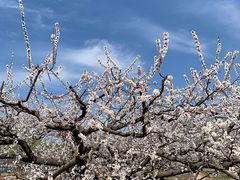 -百里峡七彩艺术小镇