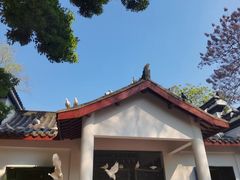 -赭山公园