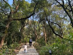 -岳麓山风景名胜区