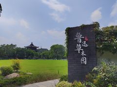 -鲁镇