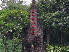 -王借岗森林公园