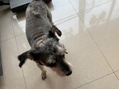 -美美酱宠物(外运路小区店)