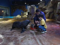 -芜湖新华联大白鲸海洋公园